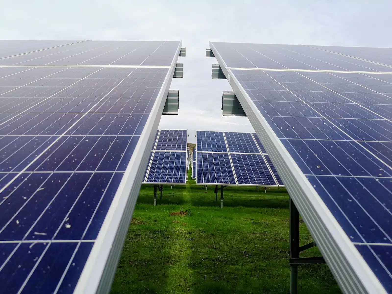 Photo by Mariana Proença blue and white solar panel lot